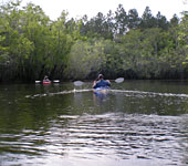 Graham Creek